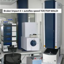 3 Bruker Impact II_autoflex speed TOF-TOF MALDI